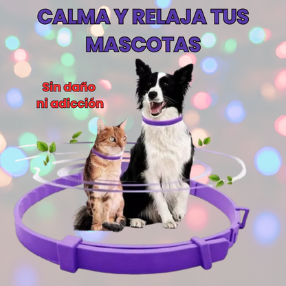 COLLAR FEROMONAS ANTI-PIROTECNIA - PetCalm™